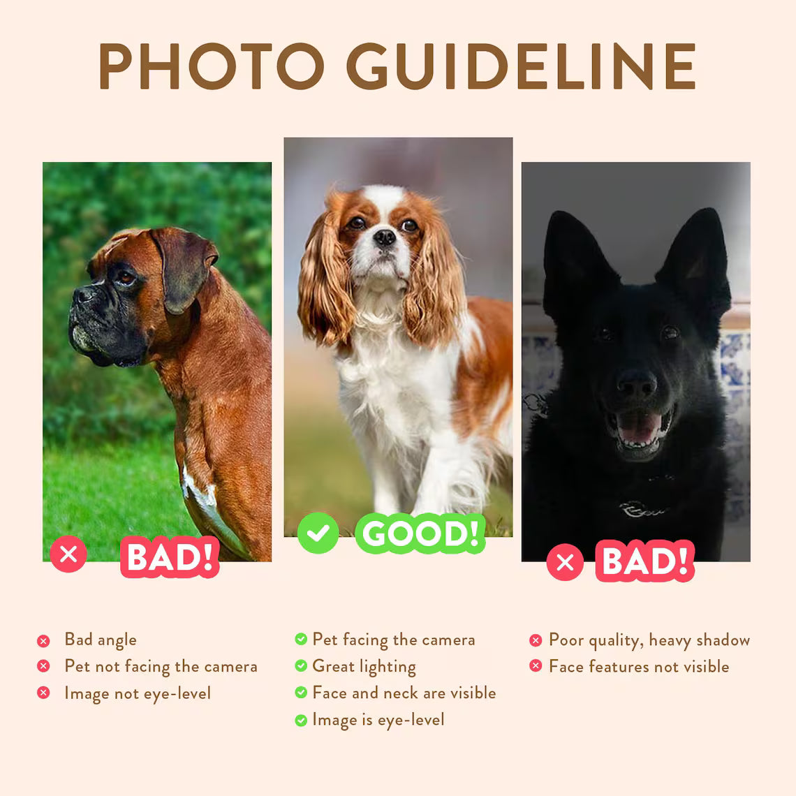 Custom pet poster